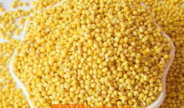 大黄米,传统美食的传承与创新之旅